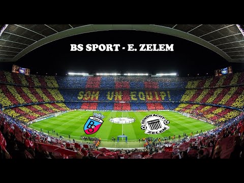 BS Sport - E. Zelem: samenvatting