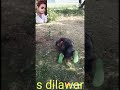 Kalyug Ke Sudama