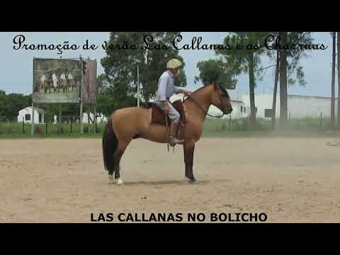 LAS CALLANAS NO BOLICHO