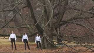 Peals - Lonestar(Official Music Video)