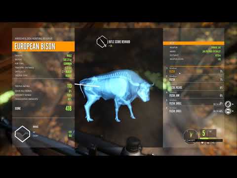 Mike Tyson, the Bison with the K.O.