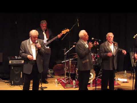 Vito & The Elegants:"Little Star"