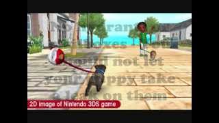 Nintendogs + Cats - How to Walk Your Dog Properly