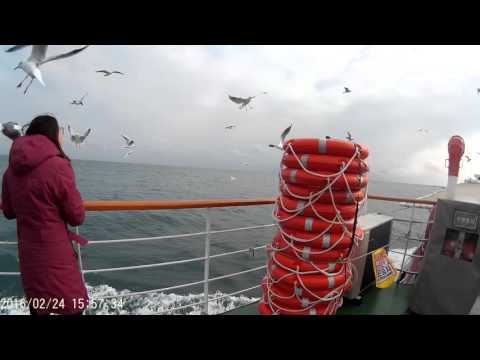 160224 "Pleasure Cruise" around Busan Bay