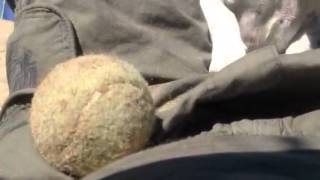 What do you want Charlie ???????