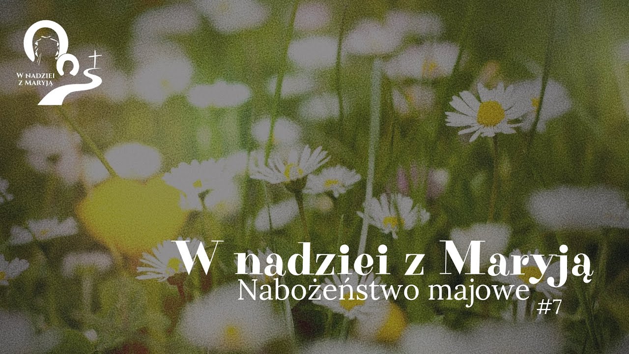 2353. "Oblubienico cieśli"