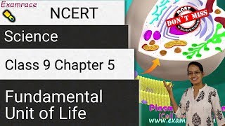 NCERT Class 9 Science Chapter 5: Fundamental Unit of Life | CBSE | English (NSO/NTSE/NSTSE)