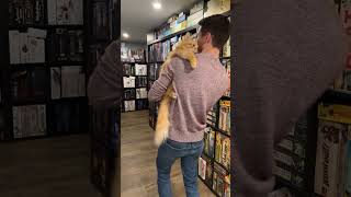 Board games and Pets! #boardgames#shorts#games