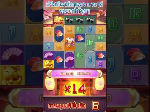 สปินฟรี