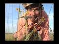 Bill Nye The Science Guy S01E03 Dinosaurs Best Quality 4K UPSCALED
