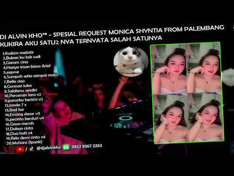 DJ SPESIAL REQUEST MONICA SHYNTIA FROM PALEMBANG - DJ ALVIN KHO™