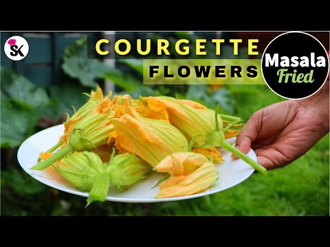 Masala Fried Courgette Flowers | How to Cook Zucchini Flowers | Deep Fried Zucchini Blossoms