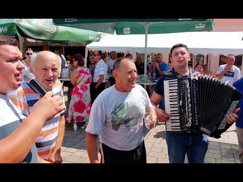 Koja gora  Ivo  ( Akord  Cetingrad )