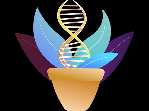 Feronia: IVF Tracker & Support video thumbnail