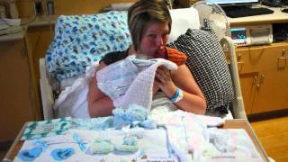 briggys smallest wingless 0001