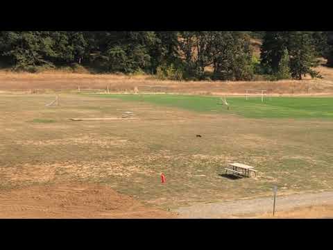 Field Test: Hoovo 3S 5200mAh 11.1V 80C with Arrma Big Rock