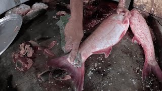 Silver Carp Fish Cutting in Bangladeshi Fish Market