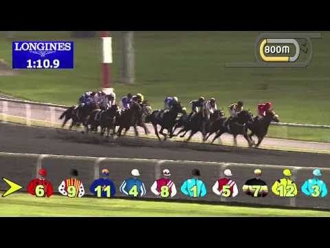 21.11.2013 Meydan (Dubai-UAE) 6.Race DUBAL Billet Trophy - Handicap 1.900 m