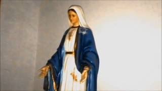 Immaculata