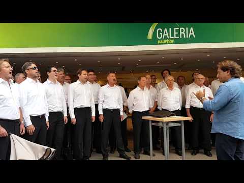 MGV Sängerbund 1868 Rauenberg: Aus der Traube in die Tonne