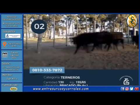 01-07-21 - 201 Remate Televisado de Campos y Ganados S.A. - Capital Federal, Bs.As.