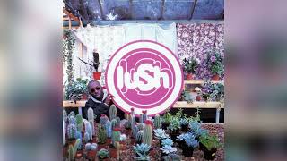 Lush - I&#39;ve Been Here Before (Acapella)