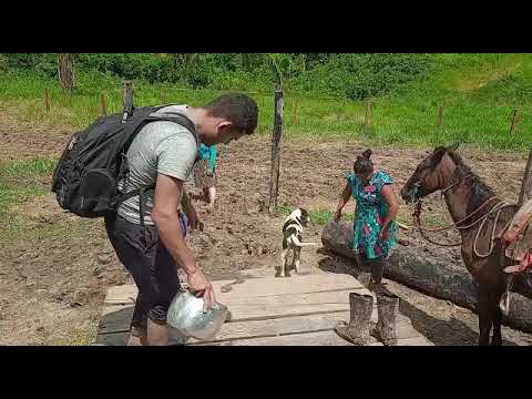 Missões No Ramal Em Feijó Acre IPDA
