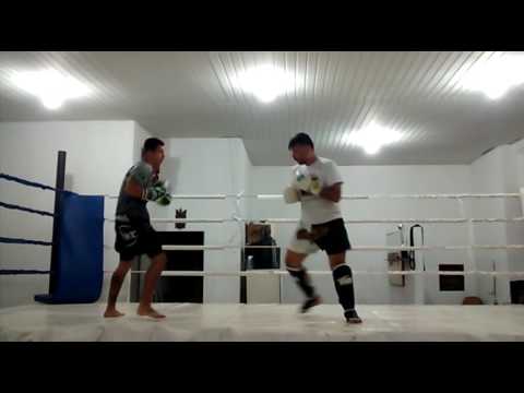 Pablo Pit Bull- BOXE