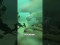 79 Year Old Scuba Diver And Fish Share A Friendship Spanning Over 30 Years
