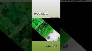 Download lagu my Faisal #karo #comedy #singer #shear  #subscribe  #like mp3