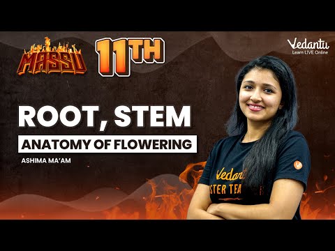 Anatomy of flowering plants | Root, Stem | Class 11 Biology | Ashima Ma'am | Vedantu Master Tamil