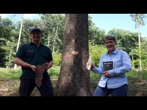 15. Videobotschaft von Pfarrerin Heike Schuffenhauer mit Revierförster Matthias Kirchner