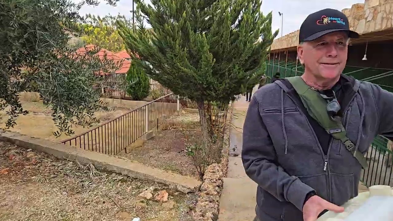 A walk through a very sad Zoo