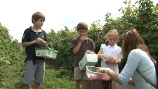 Thumbnail del capítulo