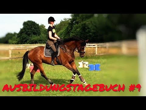 Ausbildungstagebuch #9 I Endlich wieder reiten I Dieses Pferd ist nicht normal