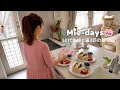 50s Homemaker Family Old Friend Reunion Peaceful Life With 3 Cats