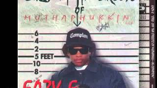 eazy e  first power NR 1