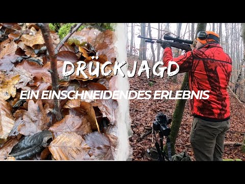 DRÜCKJAGD im Herbstwald | Ein einschneidendes Erlebnis... | Nachsuche | chris_hunting