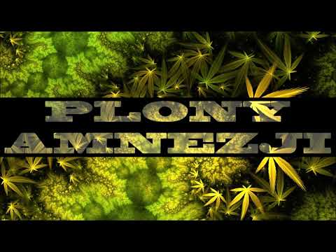 Ra V - Plony Amnezji