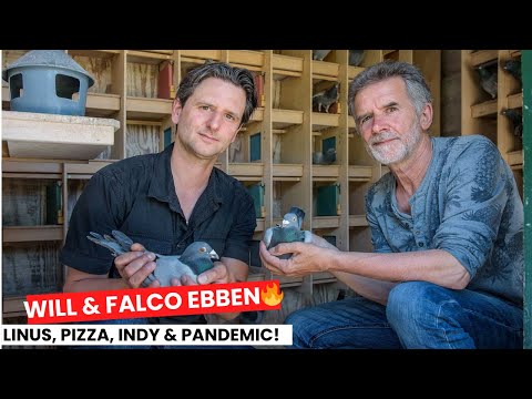The Ebben Dynasty: Small Loft, Grand Victories | Will & Falco Ebben's Champion Pigeons