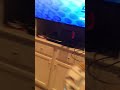 Opening To Looney Tunes The Spotlight Collection Volume 7 2009 DVD Disc 2