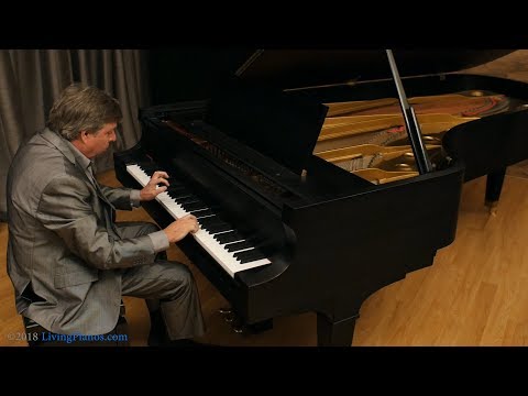 Baldwin SD-10 Concert Grand Piano for Sale - Living Pianos