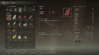 脳筋が逝く王を目指す旅#1
