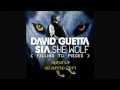 David Guetta She Wolf Falling To Pieces ft Sia(Dj ...