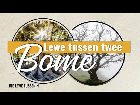 Sondagoggend Erediens - 19 Januarie 2020