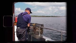 HARBOUR SUMMER VIDEO