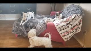 About Last Tuesday...