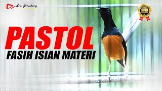 Download lagu MURAI PASTOL MATERI ISIAN MEWAH SUPER FASIH LAGUNYA mp3 Download lagu MURAI PASTOL MATERI ISIAN MEWAH SUPER FASIH LAGUNYA mp3
