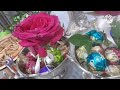 MUSIC RED ROSES WITH CHOCOLATE Satisfying Yummy