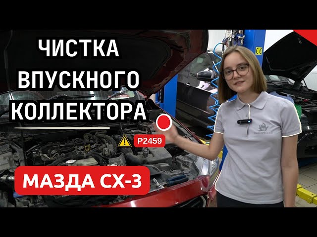 3 Эффективных Метода Как Удалить Сажевый Фильтр